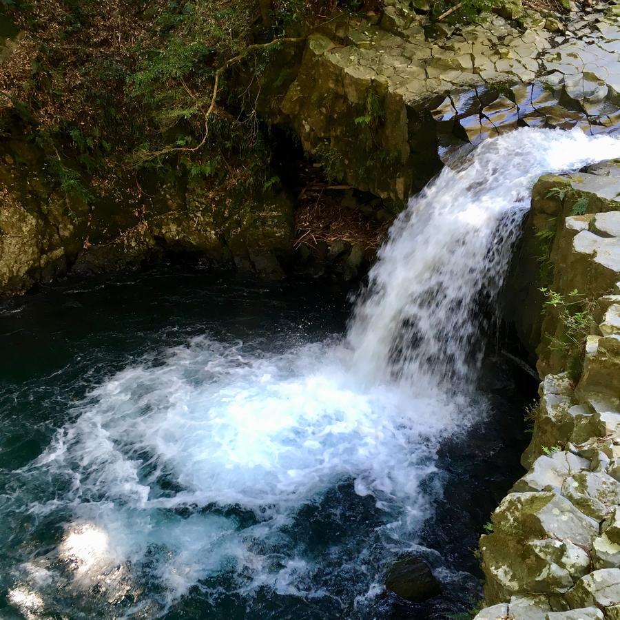 Ogawa Ryokan Shimoda  Bagian luar foto